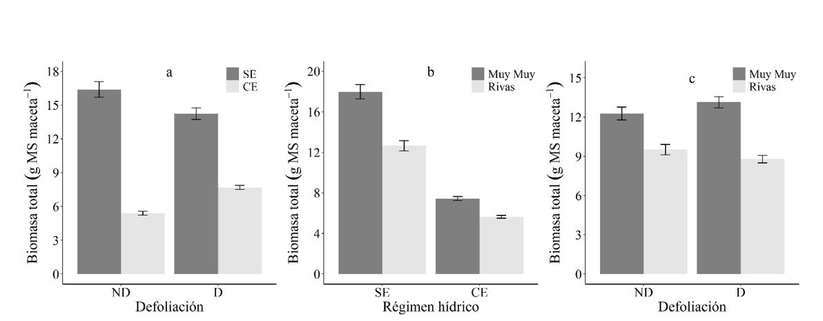 Biomasa total (g MS maceta-1) de C.
mucunoides en función de la defoliación y el régimen hídrico (a),
en función del régimen hídrico y la procedencia (b) y en función de la
defoliación y la procedencia (c). ND (no defoliadas), D (defoliadas), SE (sin
estrés), CE (con estrés). Las barras representan el error estándar 5 %.