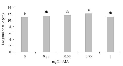 Longitud del tallo por efecto de concentraciones
de ácido indol acético.