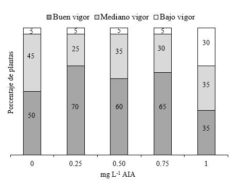 Vigor de plantas (%) de segmentos de tallo con dos entrenudos sin 

yema apical según variante de medio de cultivo.