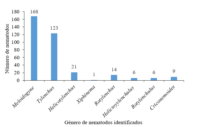 Géneros y cantidad de nematodos asociados al sistema
radicular