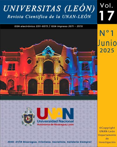 					Ver Vol. 17 Núm. 2 (2025)
				