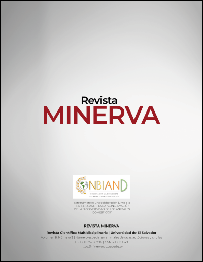 Cover Minerva